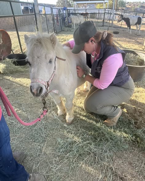 Operations and offices of A & A CONSTRUCTION & SURFACING LTD